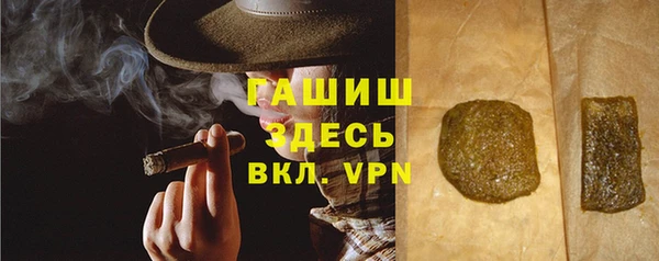 гидра Вязьма