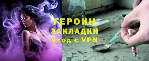гидра Вязьма