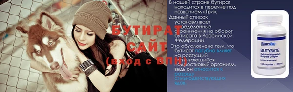 гидра Вязьма