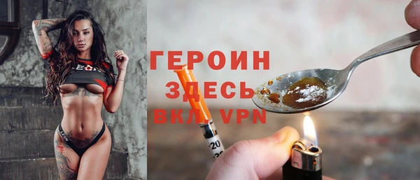 индика Осинники