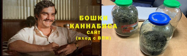 гидра Вязьма