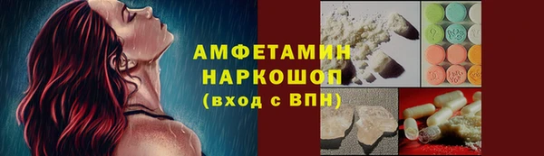 гидра Вязьма