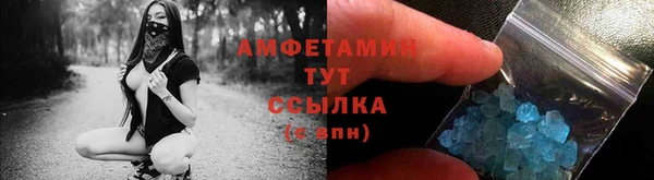 гидра Вязьма