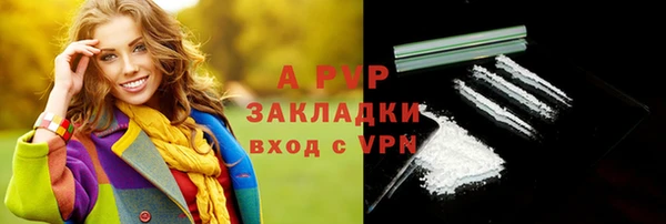 гидра Вязьма