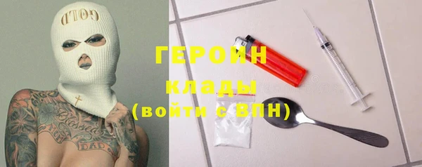 гидра Вязьма