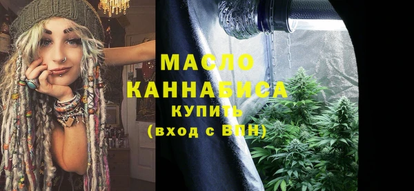 гидра Вязьма