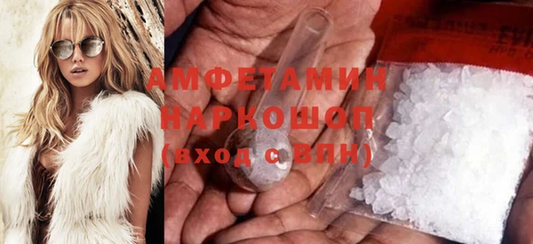 гидра Вязьма