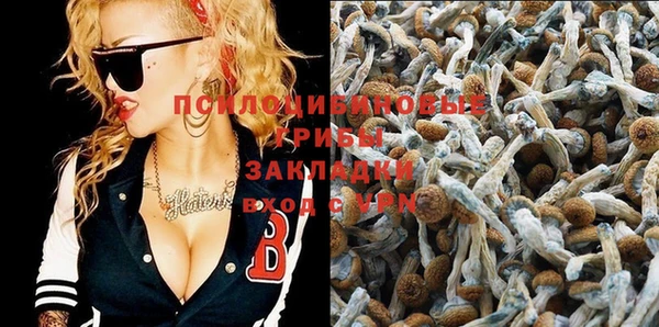 альфа пвп Вяземский