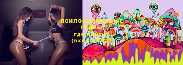 альфа пвп Вяземский