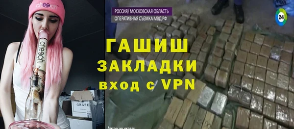 гидра Вязьма