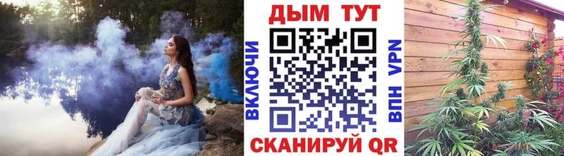 где можно купить   Железногорск  Канабис White Widow 